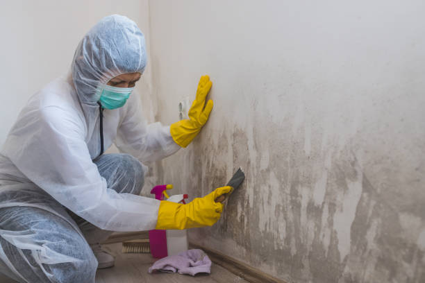 Water Damage Restoration in West Odessa, TX