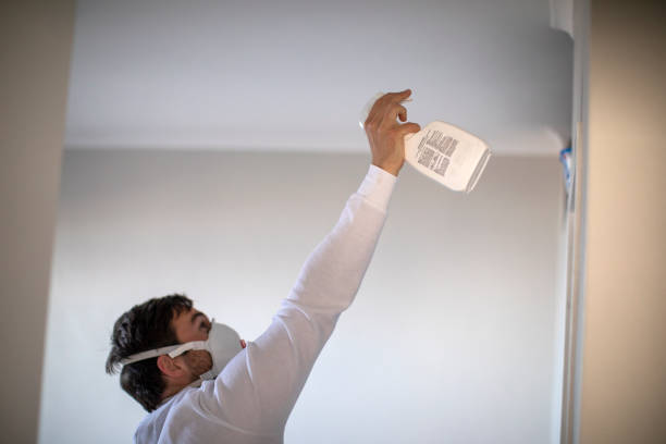 Home Mold Removal in West Odessa, TX