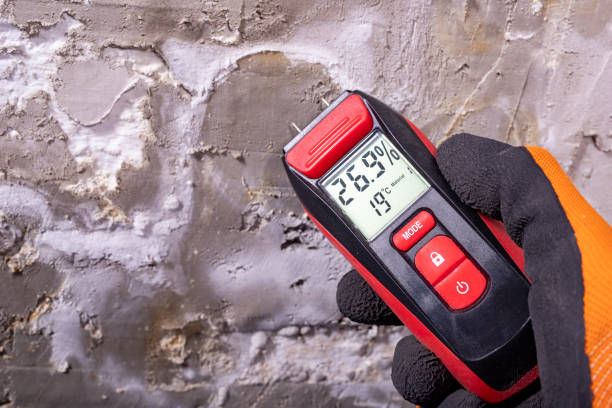 Certified Mold Removal in West Odessa, TX