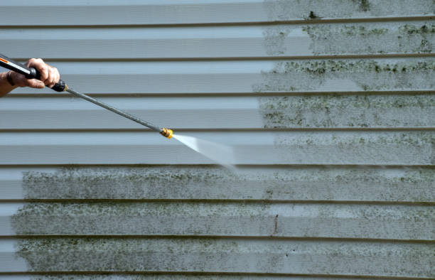 Best Attic Mold Removal  in West Odessa, TX