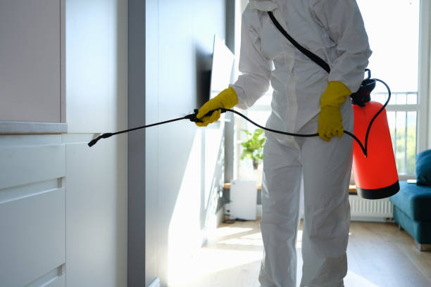 Best Mold Removal Company Near Me  in West Odessa, TX