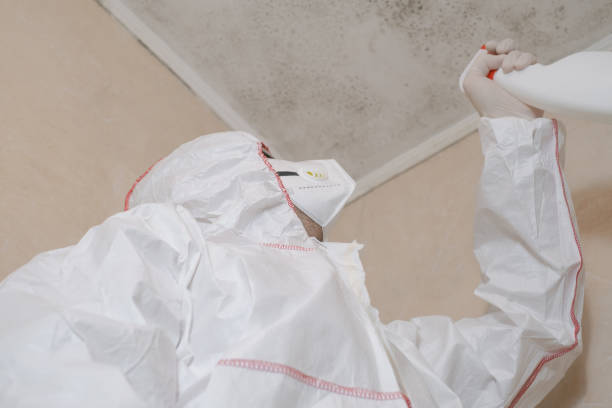 Best Affordable Mold Removal  in West Odessa, TX