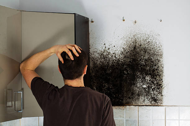 Best Mold Testing  in West Odessa, TX